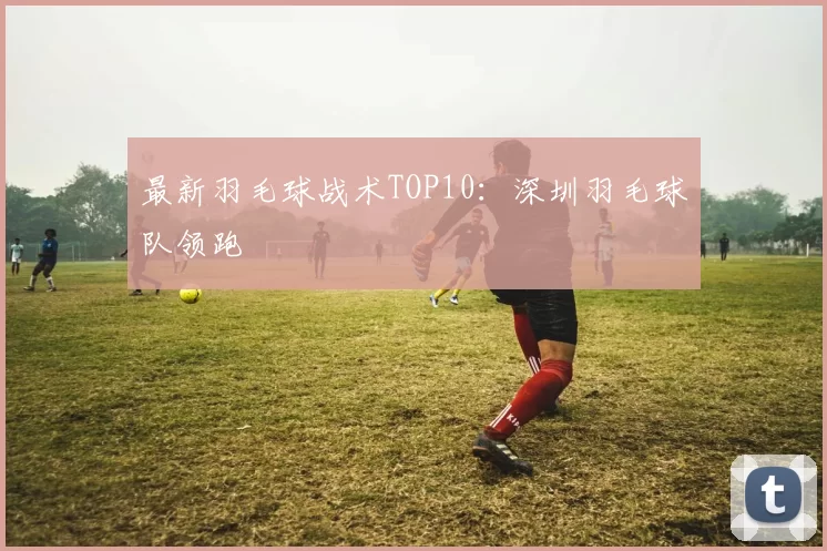最新羽毛球战术TOP10：深圳羽毛球队领跑