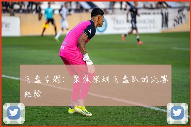 飞盘专题：聚焦深圳飞盘队的比赛经验