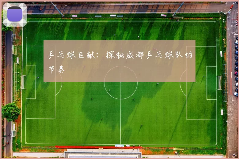 乒乓球巨献：探秘成都乒乓球队的节奏