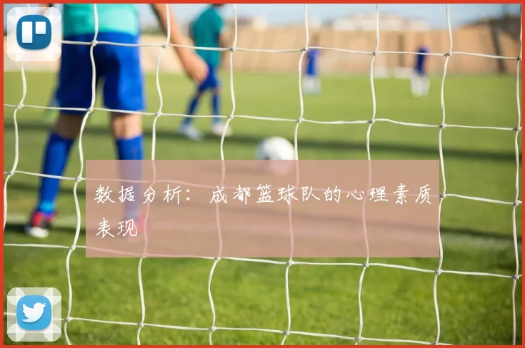 数据分析：成都篮球队的心理素质表现