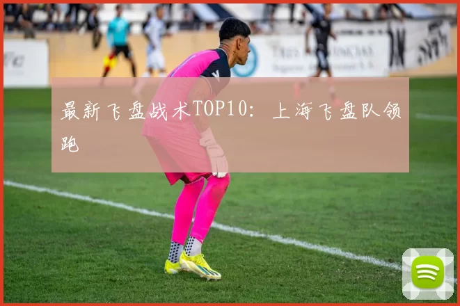 最新飞盘战术TOP10：上海飞盘队领跑